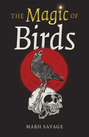 Magic Of Birds