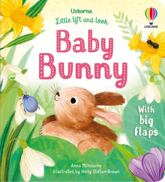 Little Lift & Look Baby Bunny By Milbourne, Anna