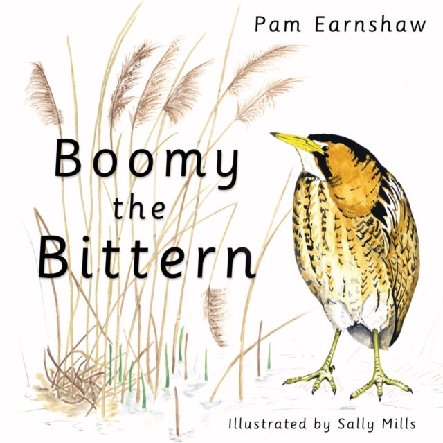 Boomy The Bittern