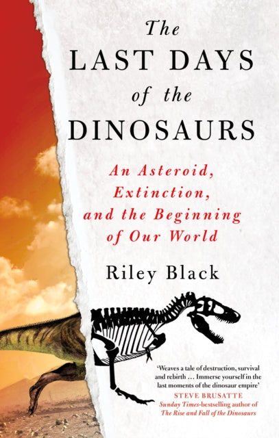 Last Days Of The Dinosaurs By Black, Riley