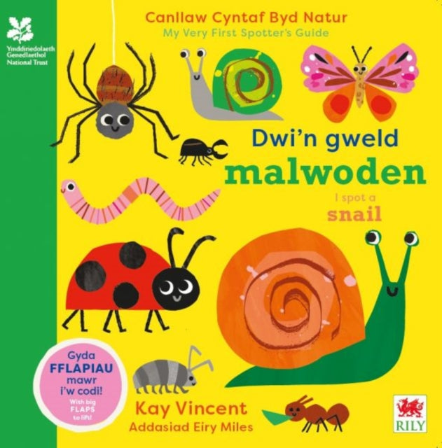 Dwin Gweld Malwoden I Spot A Snail