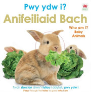 Pwy Ydw I Anifeiliaid Bach Who Am I Baby By Dk