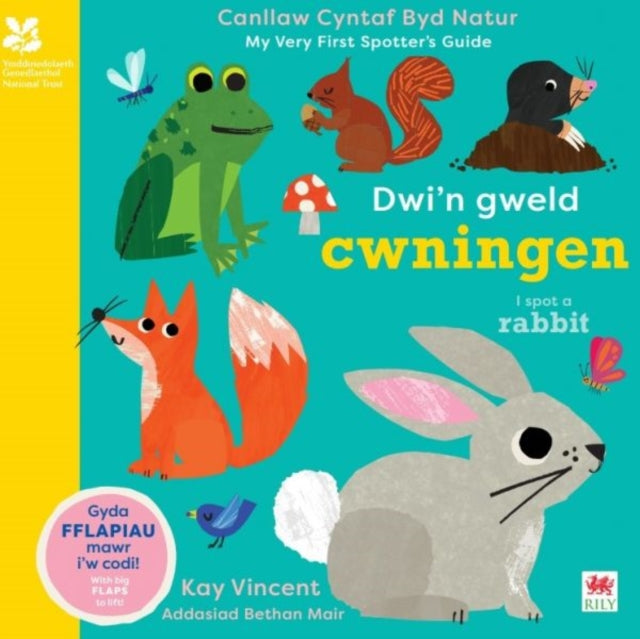 Dwin Gweld Cwningen I Spot A Rabbit