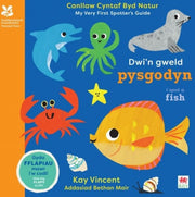 Dwin Gweld Pysgodyn I Spot A Fish