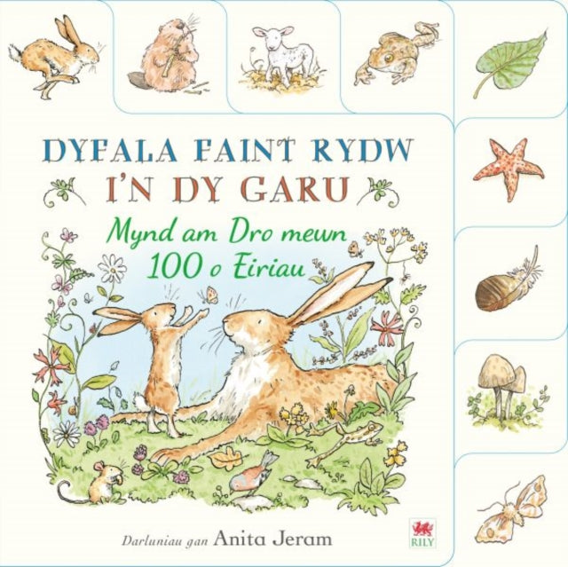 Dyfala Faint Rydw In Dy Garu Mynd Am Dro