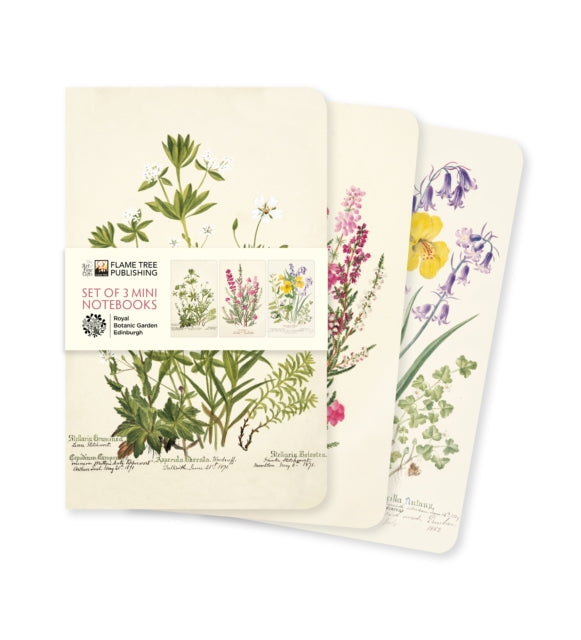Royal Botanic/set Of 3 Mini Notebooks
