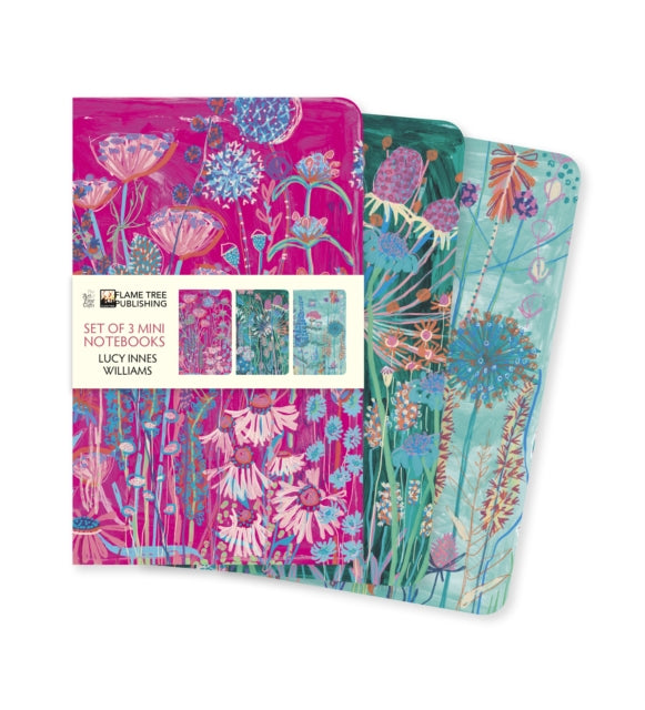 Lucy Innes Williams Set/3 Mini Notebooks