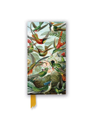 Ernst Haeckel Hummingbirds Journal