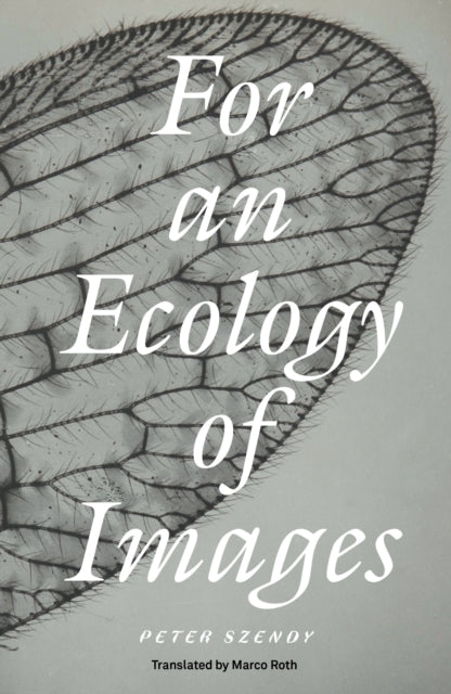 For An Ecology Of Images By Szendy, Peter