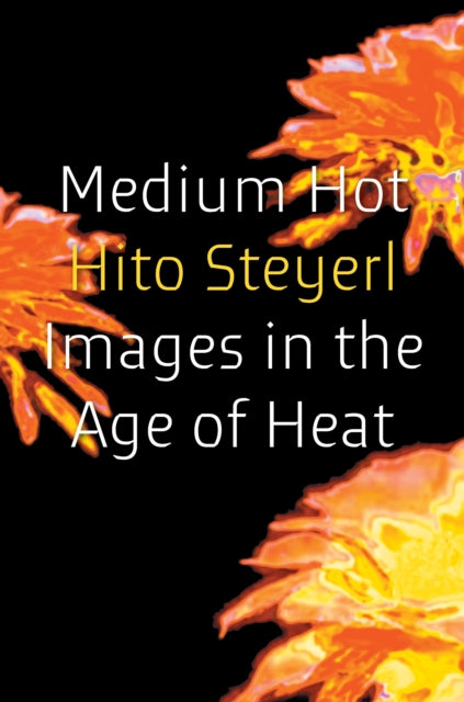 Medium Hot By Steyerl, Hito