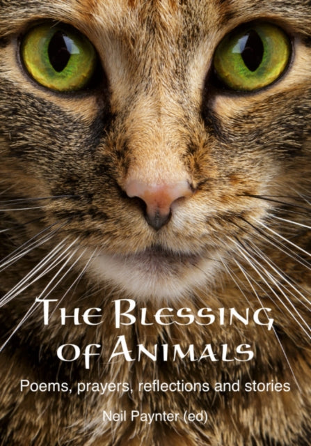 Blessing Of Animals
