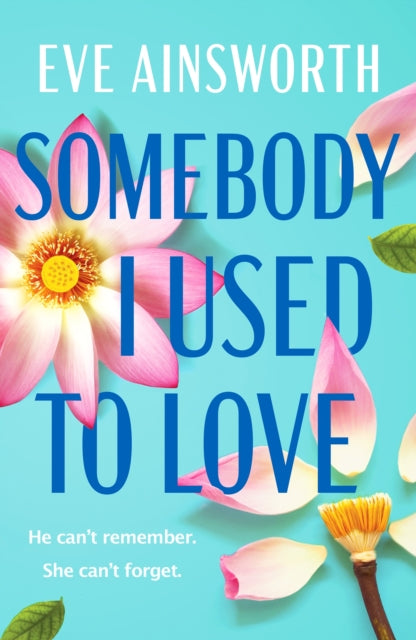 Somebody I Used To Love