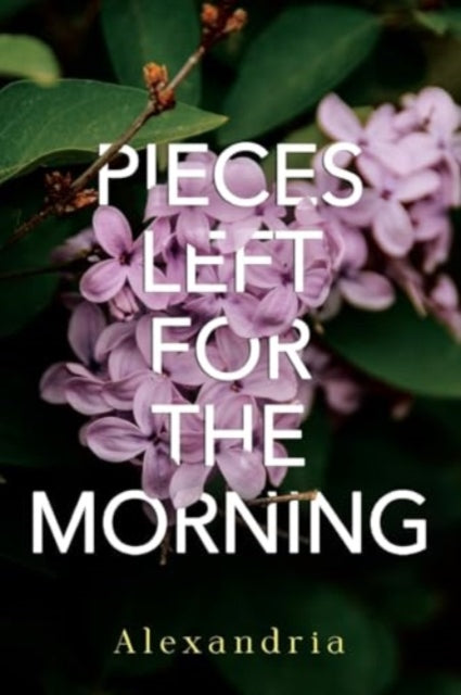 Pieces Left For The Morning