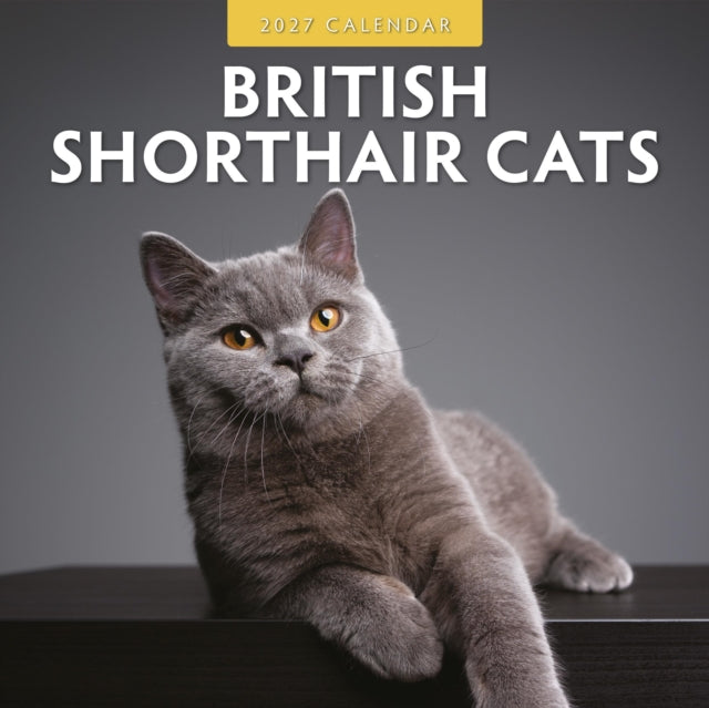 British Shorthair Cats 2027 Calendar By Red Robin