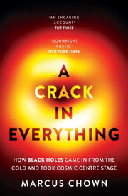 Crack In Everything