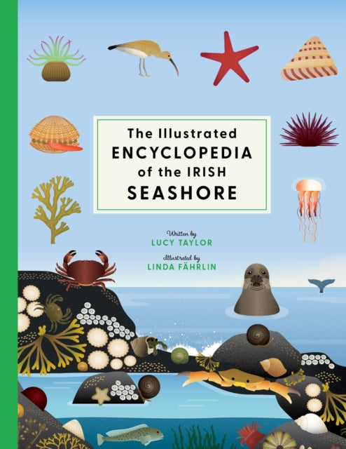 Illustrated Encyclopedia Of The Irish Se By Taylor, Lucy