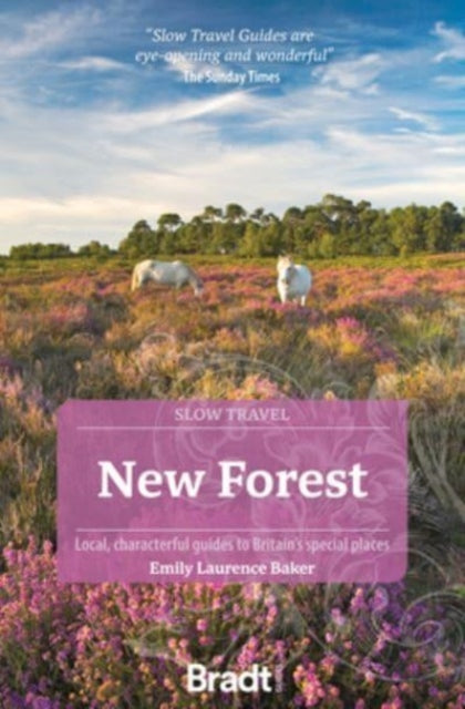 New Forest Slow Travel