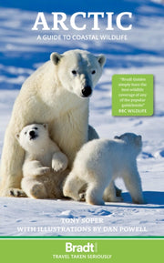 Arctic