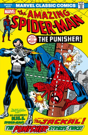 Amazing Spiderman The Punisher Strikes
