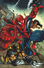 Spider Man & Avengers
