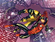 Spider Man & Wolverine