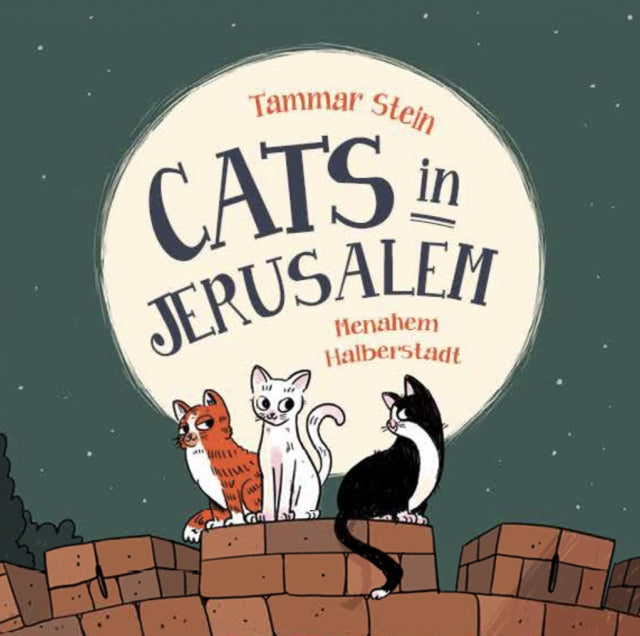 Cats In Jerusalem By Stein, Tammar