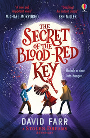 Secret Of The Blood Red Key By Farr, David