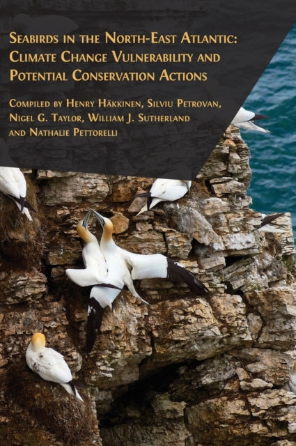 Seabirds In The North-east Atlantic By H Kkinen, Henry