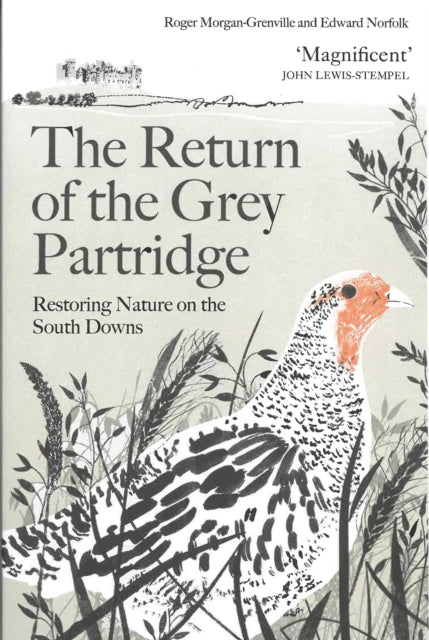 Return Of The Grey Partridge