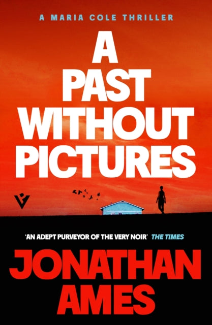 Past Without Pictures By Ames, Jonathan
