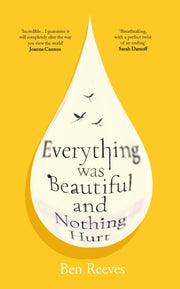 Everything Was Beautiful & Nothing Hurt