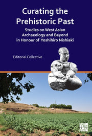 Curating The Prehistoric Past