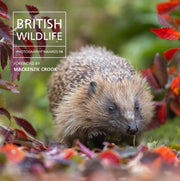 British Wildlife Photography Awards 14 By Nicholls, Will