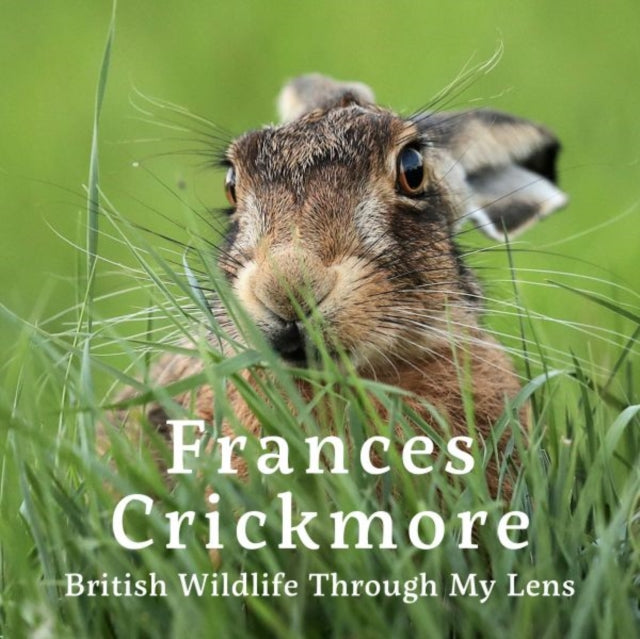 Frances Crickmore Wildlife Photography