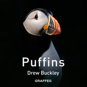Puffins By Buckley, Drew