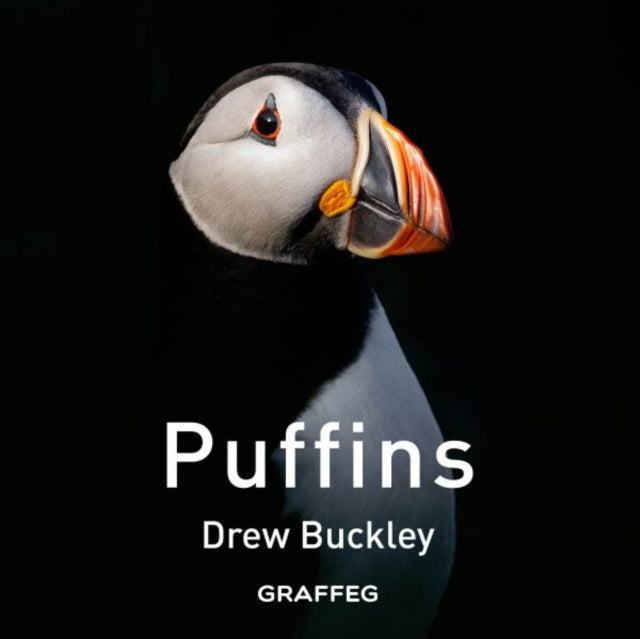 Puffins By Buckley, Drew