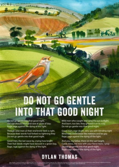 Do Not Go Gentle By Dylan Thomas The Nig