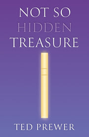 Not So Hidden Treasure