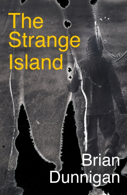 The Strange Island By Dunnigan  Brian