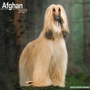 Afghan By Avonside Publishing