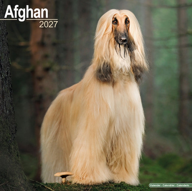 Afghan By Avonside Publishing