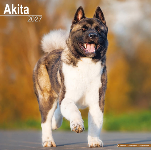 Akita By Avonside Publishing