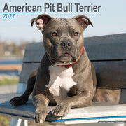 American Pit Bull Terrier By Avonside Publishing