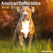 American Staffordshire Terrier By Avonside Publishing