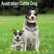 Australian Cattle Dog By Avonside Publishing
