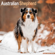 Australian Shepherd By Avonside Publishing