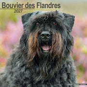 Bouvier Des Flandres Euro By Avonside Publishing