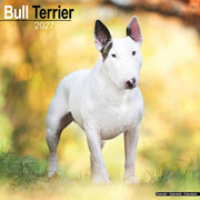 Bull Terrier By Avonside Publishing