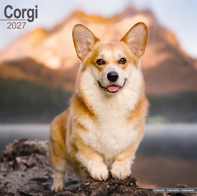 Corgi By Avonside Publishing