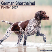 German Shorthair Pointer By Avonside Publishing